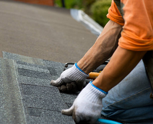 Best Roof Repair Services  in Dodge City, KS